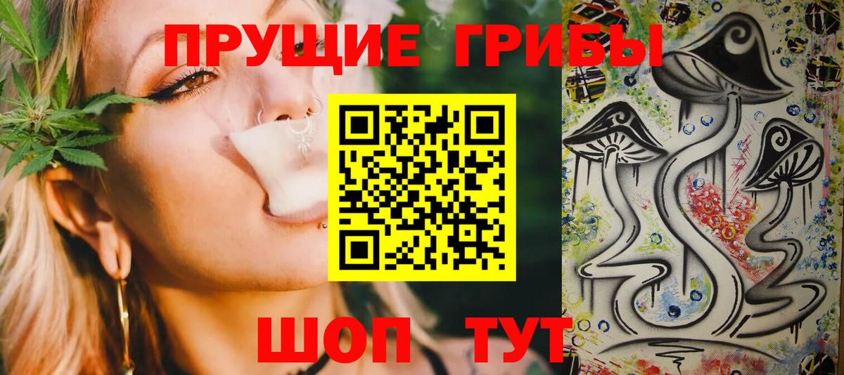 Псилоцибиновые грибы Psilocybine cubensis Шелехов