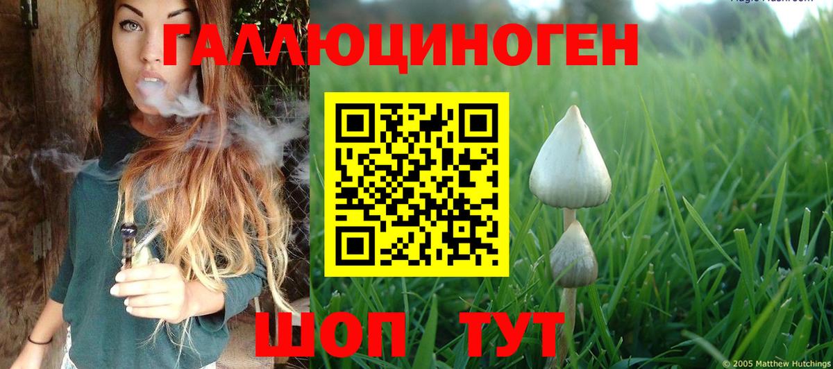 Шелехов  где найти   Галлюциногенные грибы ЛСД  Вход с VPN  Галлюциногенные грибы Magic Shrooms 